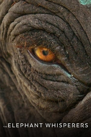 The Elephant Whisperers (2022) Hindi Dual Audio – 480p